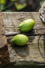 Unripened Green Tomatoes On A Wooden Board In The Garden On A Sunny Day. Shallow Depth Of Field. Close-Up.