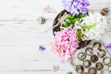 Flowering hyacinth flowers and quail eggs. Spring Easter concept