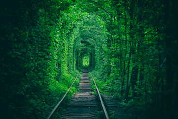 unnel of Love