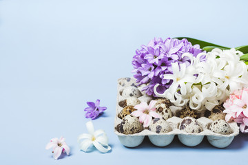 Spring festive Easter background. Hyacinth flowers and quail eggs