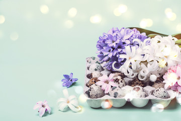 Spring festive Easter card. Hyacinth flowers and quail eggs
