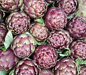 ripe artichokes for sale in the fruit and vegetable market