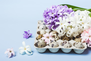 Spring festive Easter card. Hyacinth flowers and quail eggs