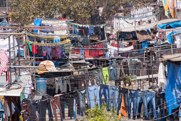 Dhobi Ghat, The Largest Laundry in the World