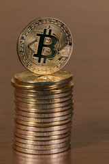 several golden bitcoins