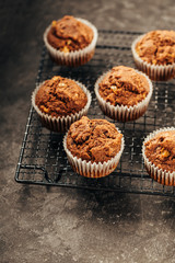 Delicious homemade Chocolate Muffins. Selective focus