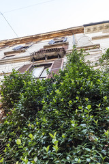 Architectural detail in Rome, Italy. Facade of an old building with balcony, blue sky in background, tree in foreground.