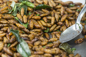 THAILAND ISAN PHIMAI THAI STREETFOOD INSECTS