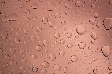 Abstract water or rain drops transparent background, wallpaper close-up