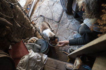 High angle view of old man with unkempt long gray hair feeding cat