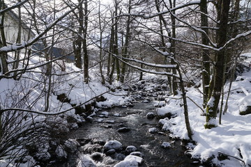 Dordogne au milieu des arbres et sous la neige