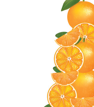 Oranges background background, vector