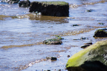 淀川の河川敷・砂浜の景色