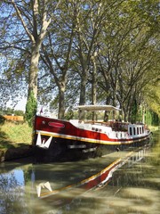 Fototapeta premium Péniche amarrée sur le Canal du Midi, devant des platanes alignés sur les berges (France)