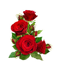 Corner composition with red rose flowers and buds