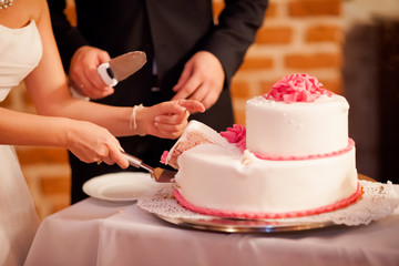Newlyweds wedding cake cutting detail