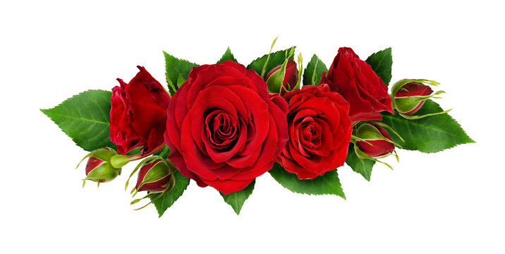 Red rose flowers and leaves in a line arrangement