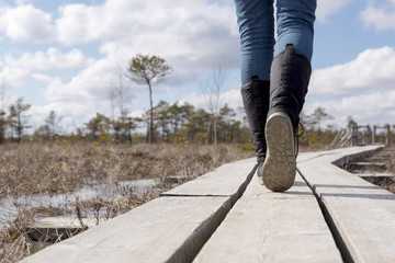 Hiking on wooden trail at Kemeri bog. Walking and trekking outdoors