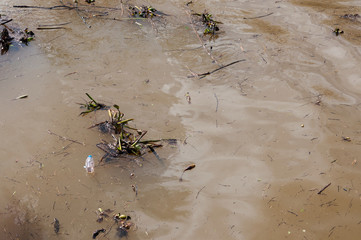 O perigo da poluição