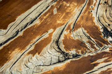 Old wood background and texture