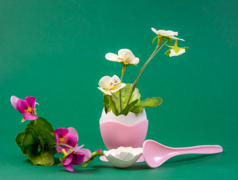Still life with flower growing out of an eggshell