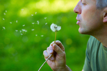 Man blowing dandelion over blured green grass, summer nature outdoor