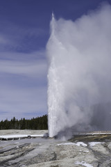 Beehive Geyser
