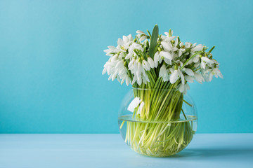 stylish glass vase with a bouquet of snowdrops on a blue background