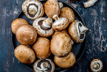 PORTOBELLO MUSHROOM on black plate. Dark background, top view