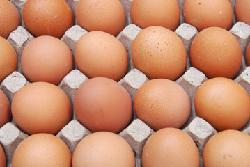 close up on brown eggs in egg box 