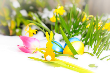 Yellow easter bunny with daffodils in the snow