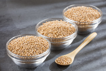 Yellow grain mustard - Sinapis alba