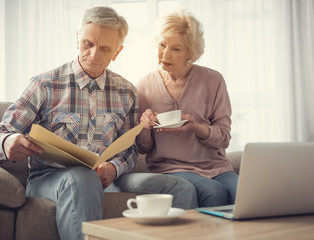 Calm mature man and woman sitting in living room and looking at folder with papers - obrazy, fototapety, plakaty