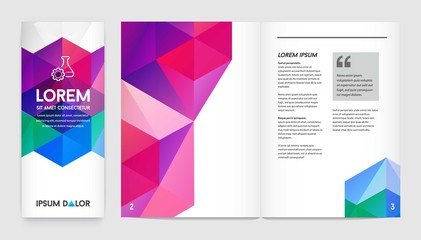 Set of Visual identity with letter logo elements polygonal style Letterhead and geometric triangular design style brochure cover template mockups for business with Fictitious names