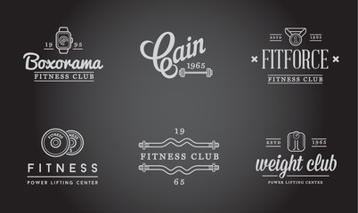 Set of Raster Fitness Aerobics Gym Elements and Fitness Icons Illustration can be used as Logo or Icon in premium quality
