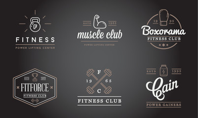 Set of Raster Fitness Aerobics Gym Elements and Fitness Icons Illustration can be used as Logo or Icon in premium quality
