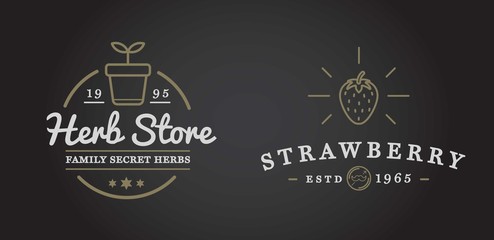 Set of Raster Garden and Farm Elements and Fruits or Vegetables Icons Illustration can be used as Logo or Icon in premium quality