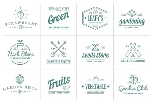 Set of Raster Garden and Farm Elements and Fruits or Vegetables Icons Illustration can be used as Logo or Icon in premium quality