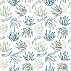 Hand drawn vector seamless pattern. Aloe vera. Herbal Background in sketch style. Perfect for cosmetics labels, invitations, cards, leaflets etc