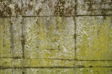 Old concrete wall with moss