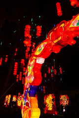Fototapeta na wymiar Féérie de Chine, le festival des lanternes de Gaillac, dans le Tarn