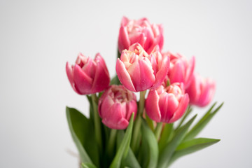 Fototapeta premium Happy Mother's Day