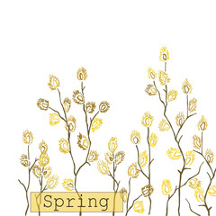 Flowering willow.Fluffy branches Salix.Gray flowers in yellow pollen.