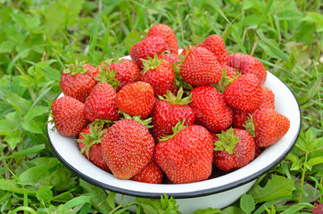 Fresh strawberries in bowl