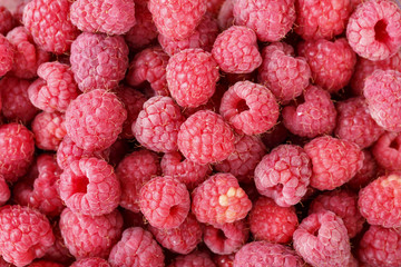 raw fresh raspberries