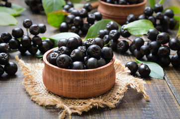 Black chokeberry