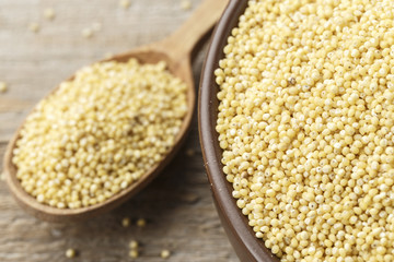 millet cereal in a clay dish