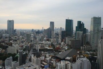 Fototapeta na wymiar Rascacielos en tokio japon