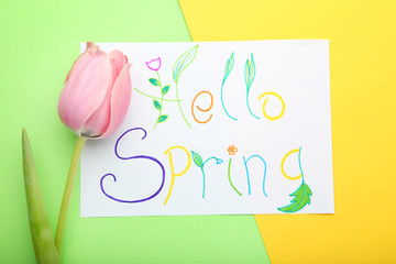 Inscription Hello Spring with pink tulip on colorful background