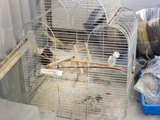 Abandoned bird cage